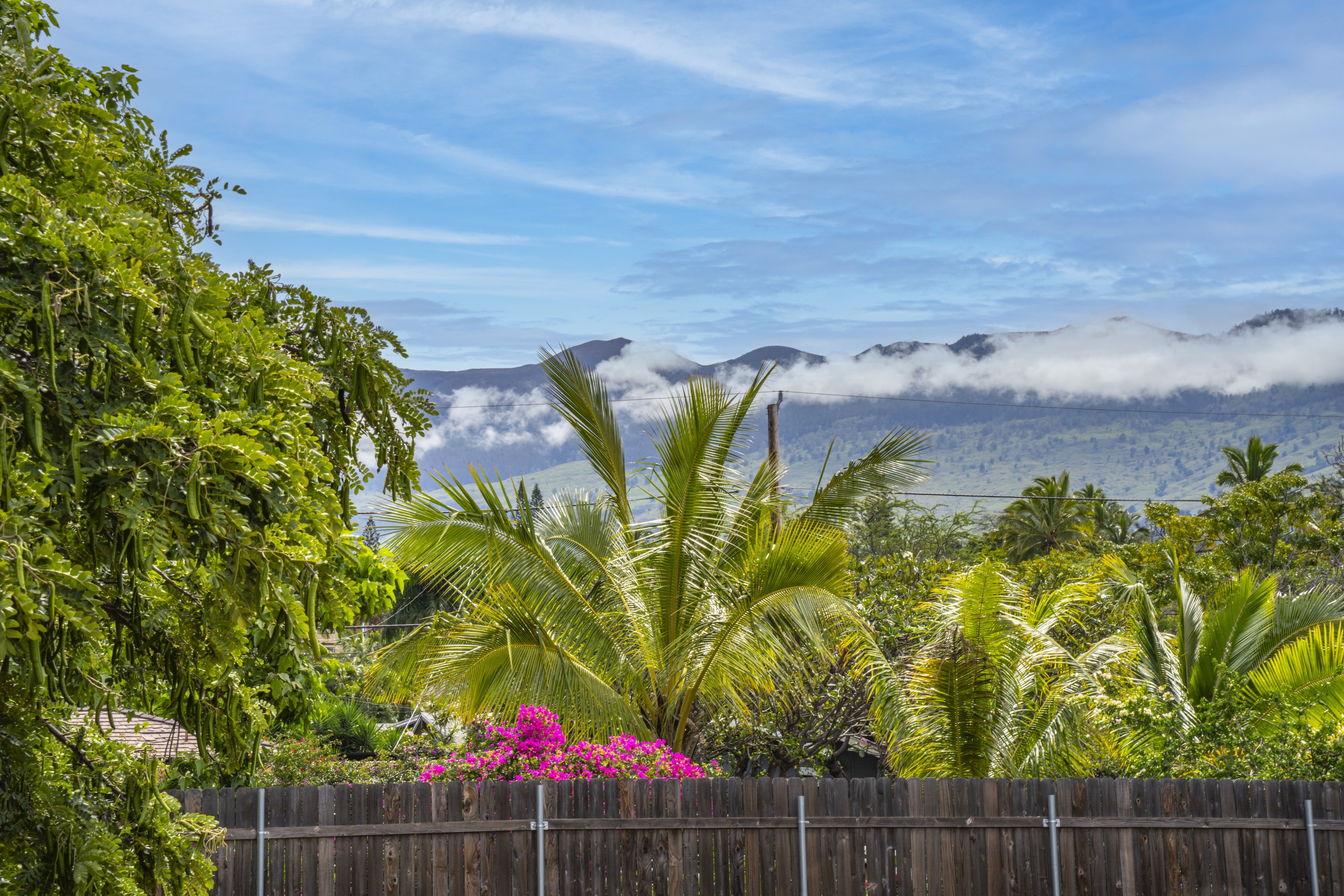  Maui Meadows Cozy 2-bedroom, 1-bathroom, 1/2 Acre Cottage - 物件實景