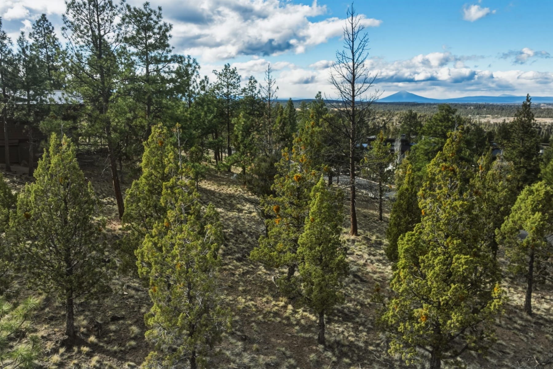  1560 NW Wild Rye Circle Bend, OR 97703 - 物件實景