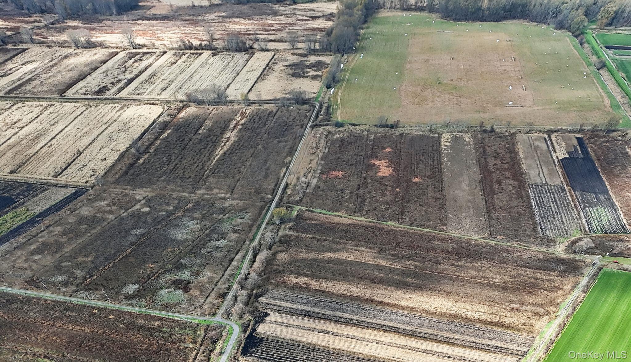 Pine Island, New York, 10969, United States, 3 Bedrooms Bedrooms, ,2 BathroomsBathrooms,Residential,For Sale,1988857