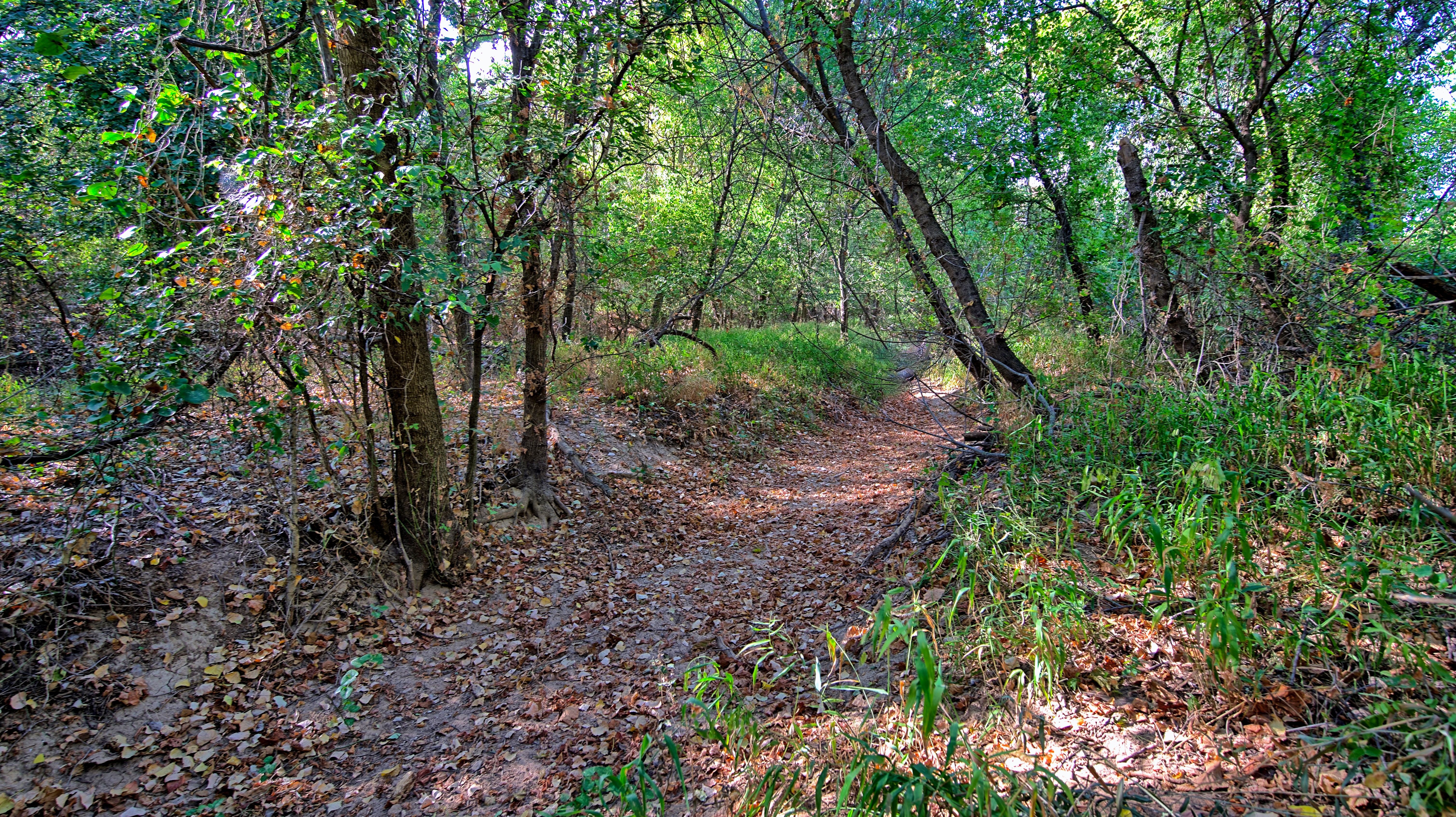  0 Deen Road, Bowie, TX, 76230 - 物件實景