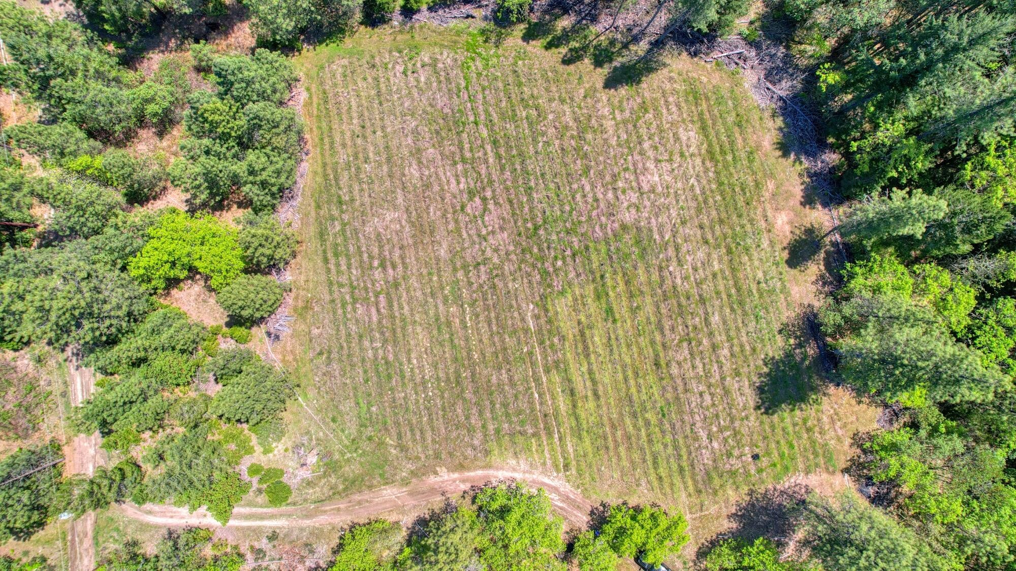 Grants Pass, Oregon, 97526, United States, 3 Bedrooms Bedrooms, ,2 BathroomsBathrooms,Residential,For Sale,1982829