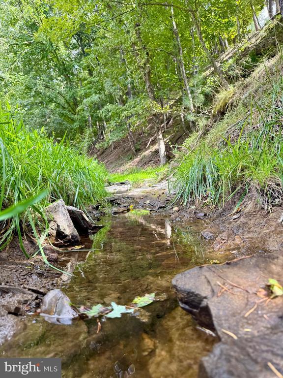 PETERSBURG, West Virginia, 26847, United States, ,Land,For Sale,1932257