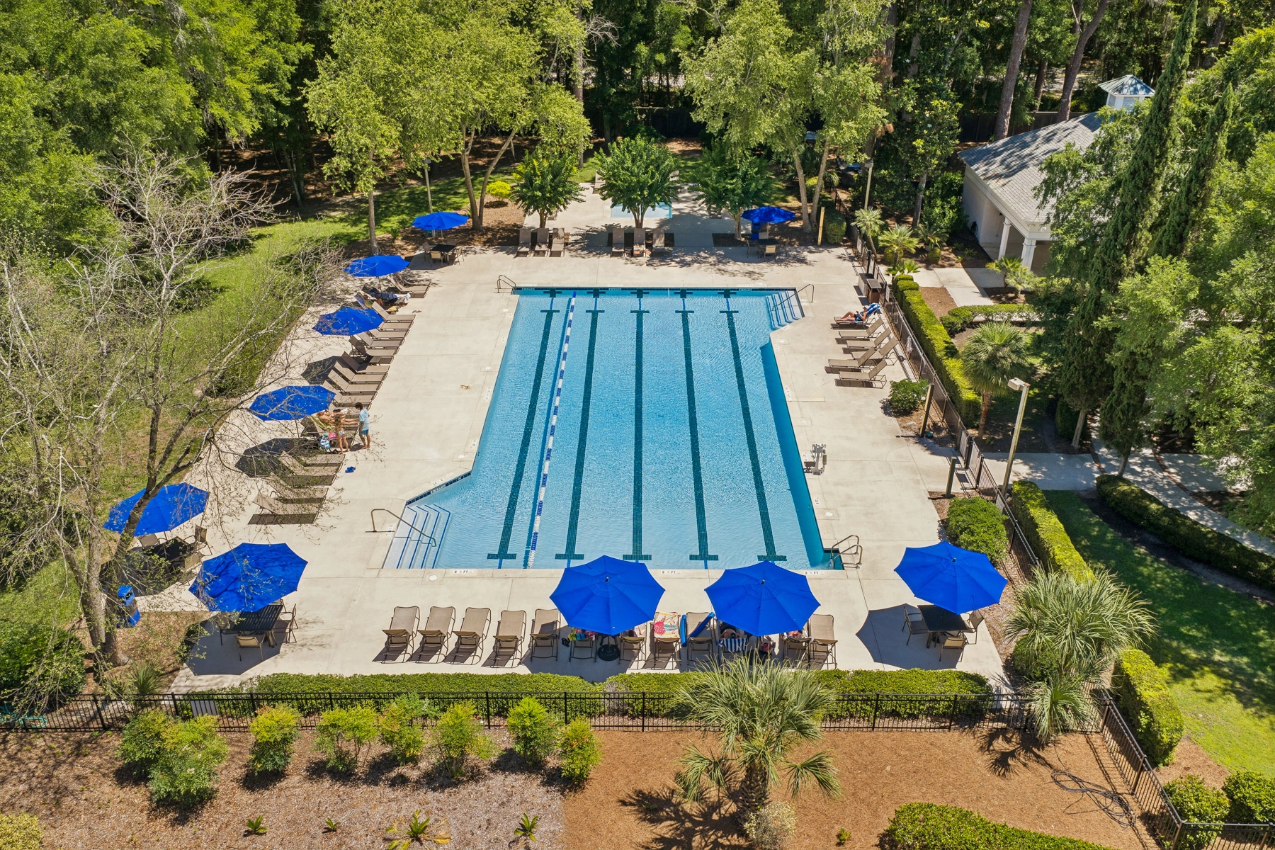  17 Balsams Court, Hilton Head Island - 物件實景