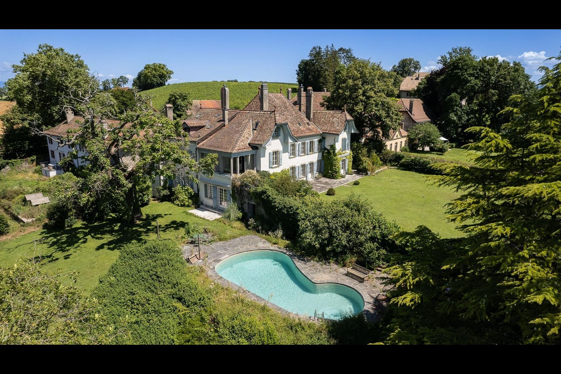 Exceptional manor house with panoramic view of the lake and the Alps - 物件實景