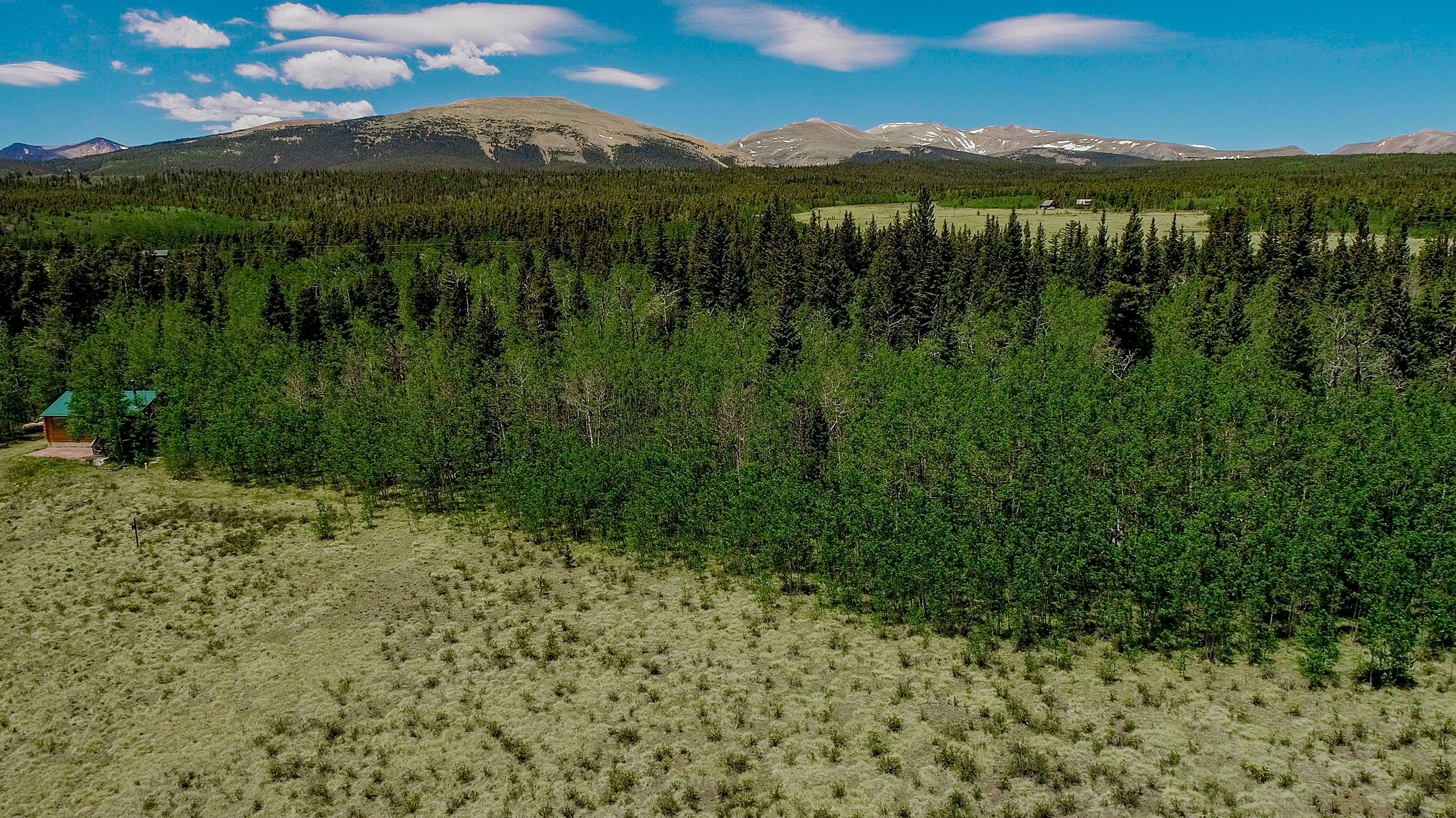  515 Wild Rye Road, Fairplay, CO, 80440 - 物件實景