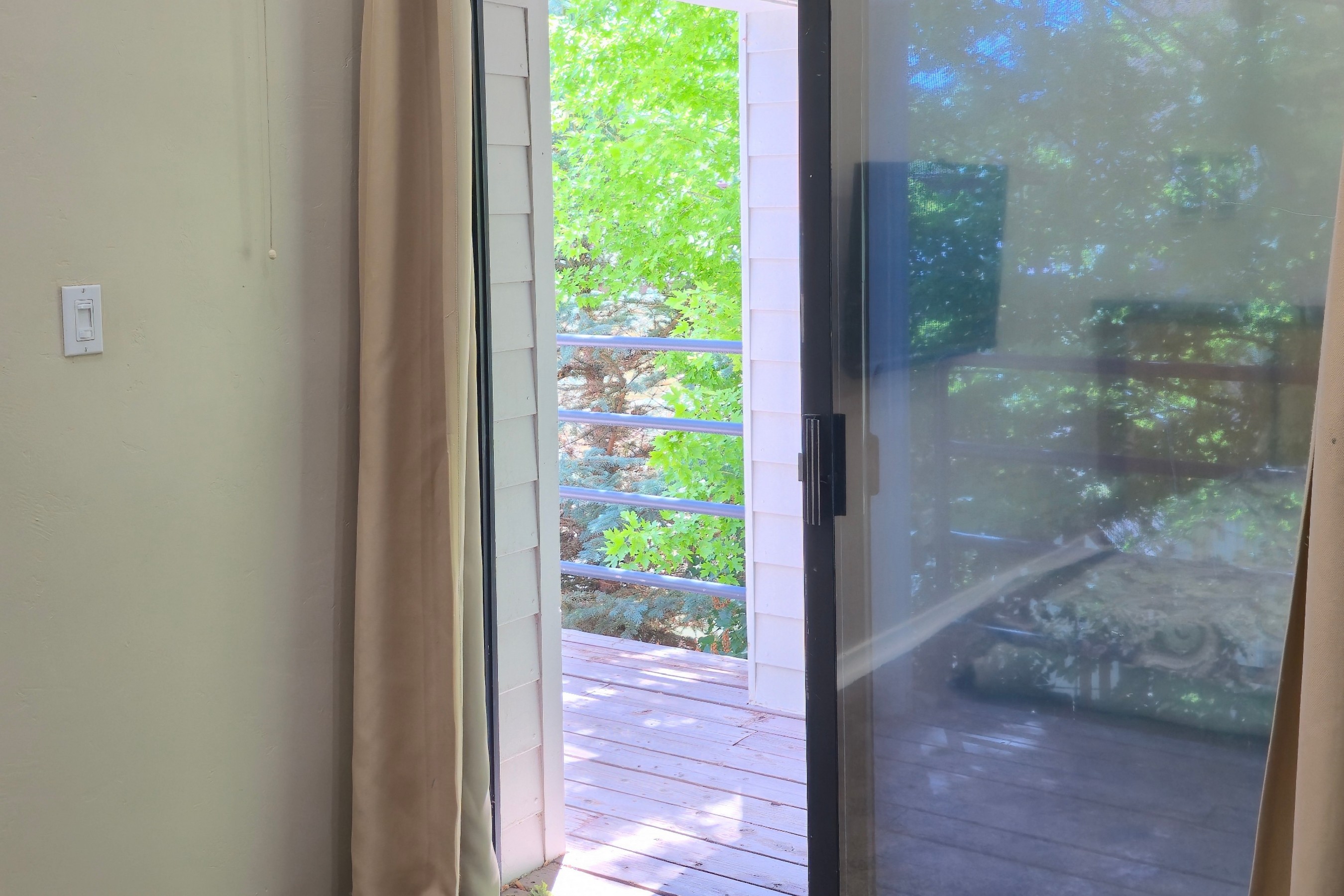  175 Midland Avenue, Basalt, CO, 81621 - 物件實景