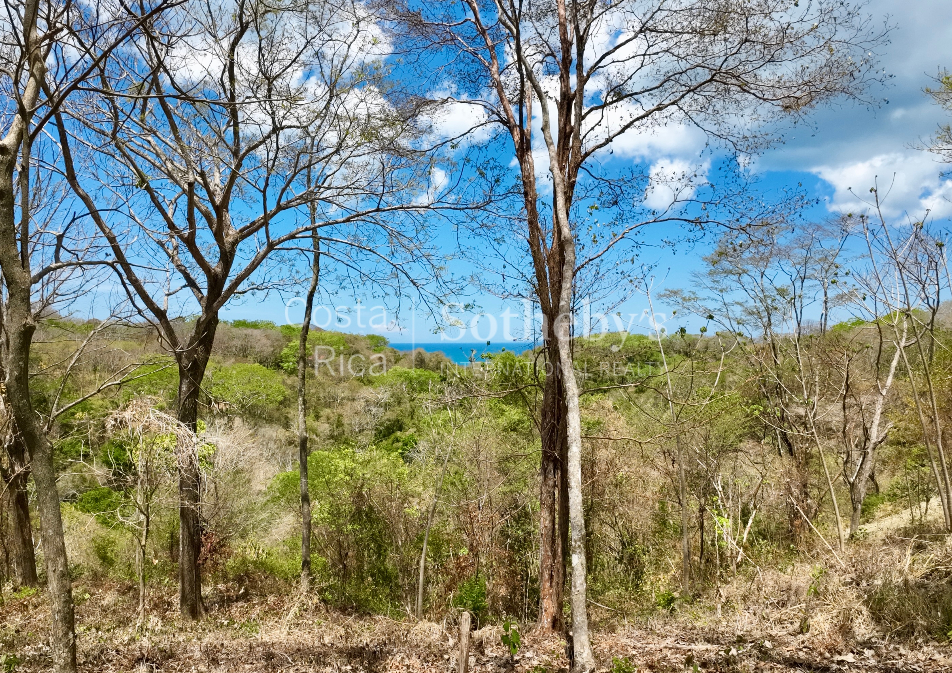  Expansive Ocean View Lot in the Hills of Hermosa - 物件實景