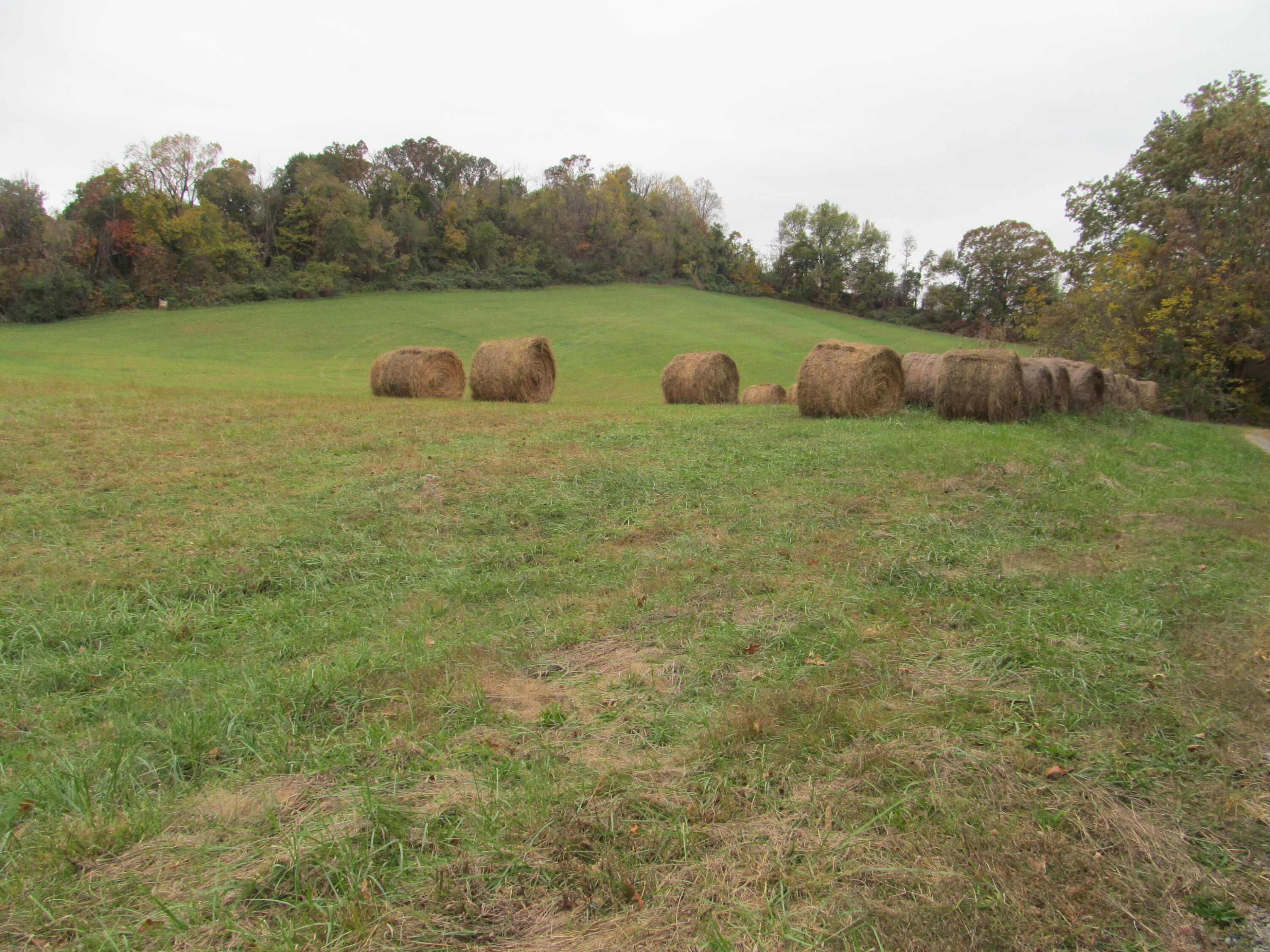Gray, Tennessee, 37615, United States, ,Land,For Sale,1976821