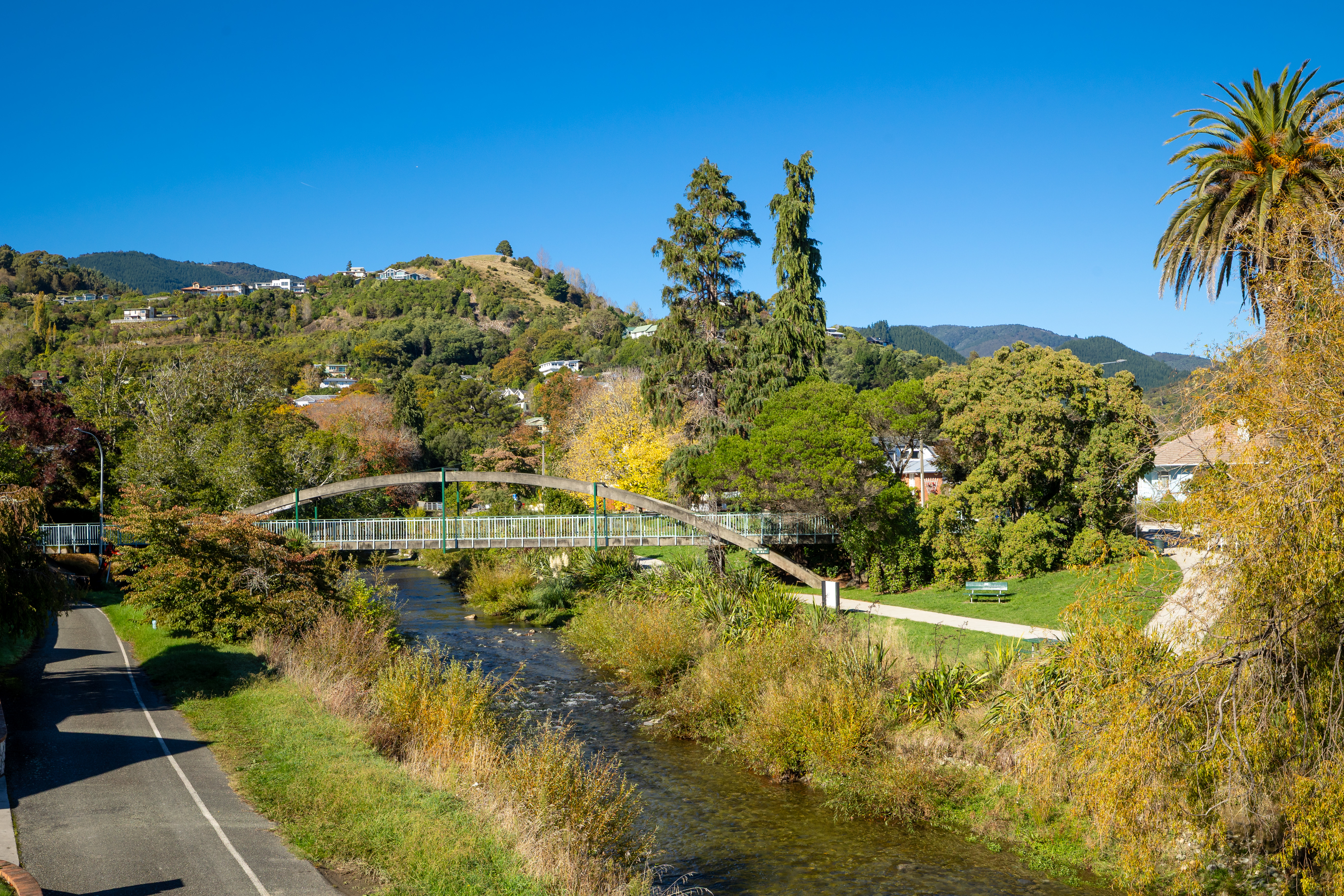  15 Avon Terrace, Nelson - 物件實景