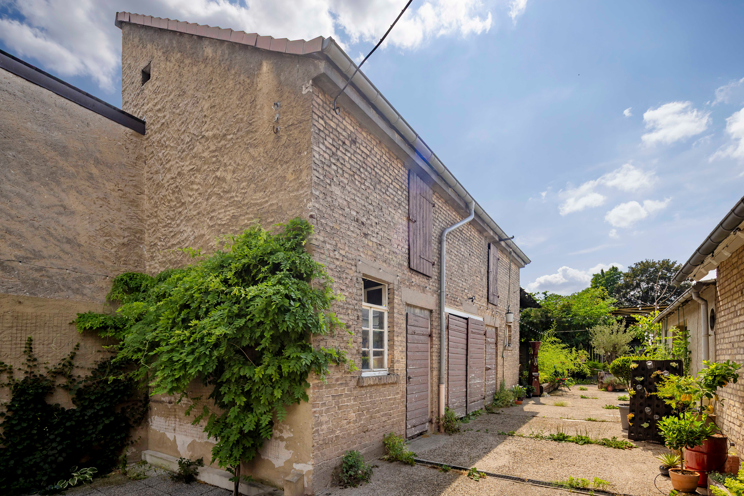  Rheingau History – A Farmstead with a Wine Cellar and Plenty of Potential - 物件實景