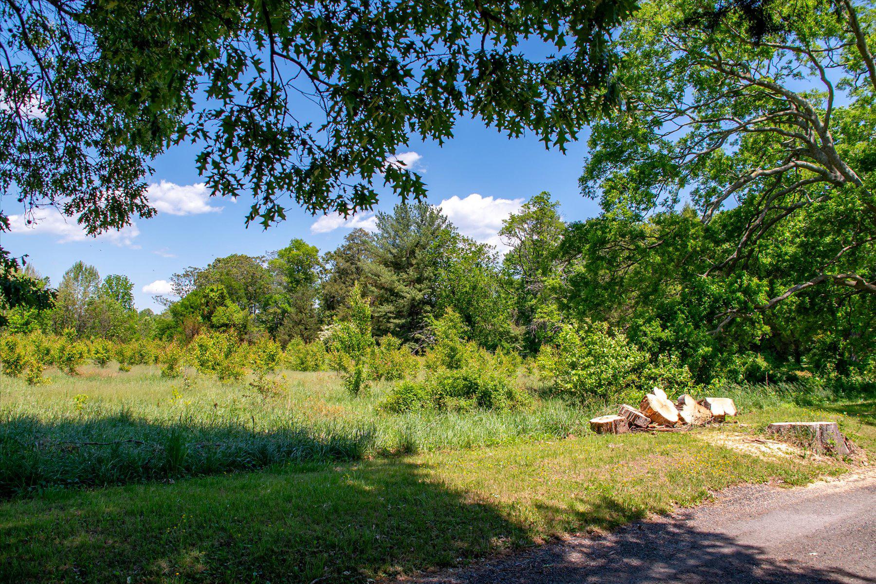  5503 Brooks Woods Road, Lothian, MD, 20711 - 物件實景