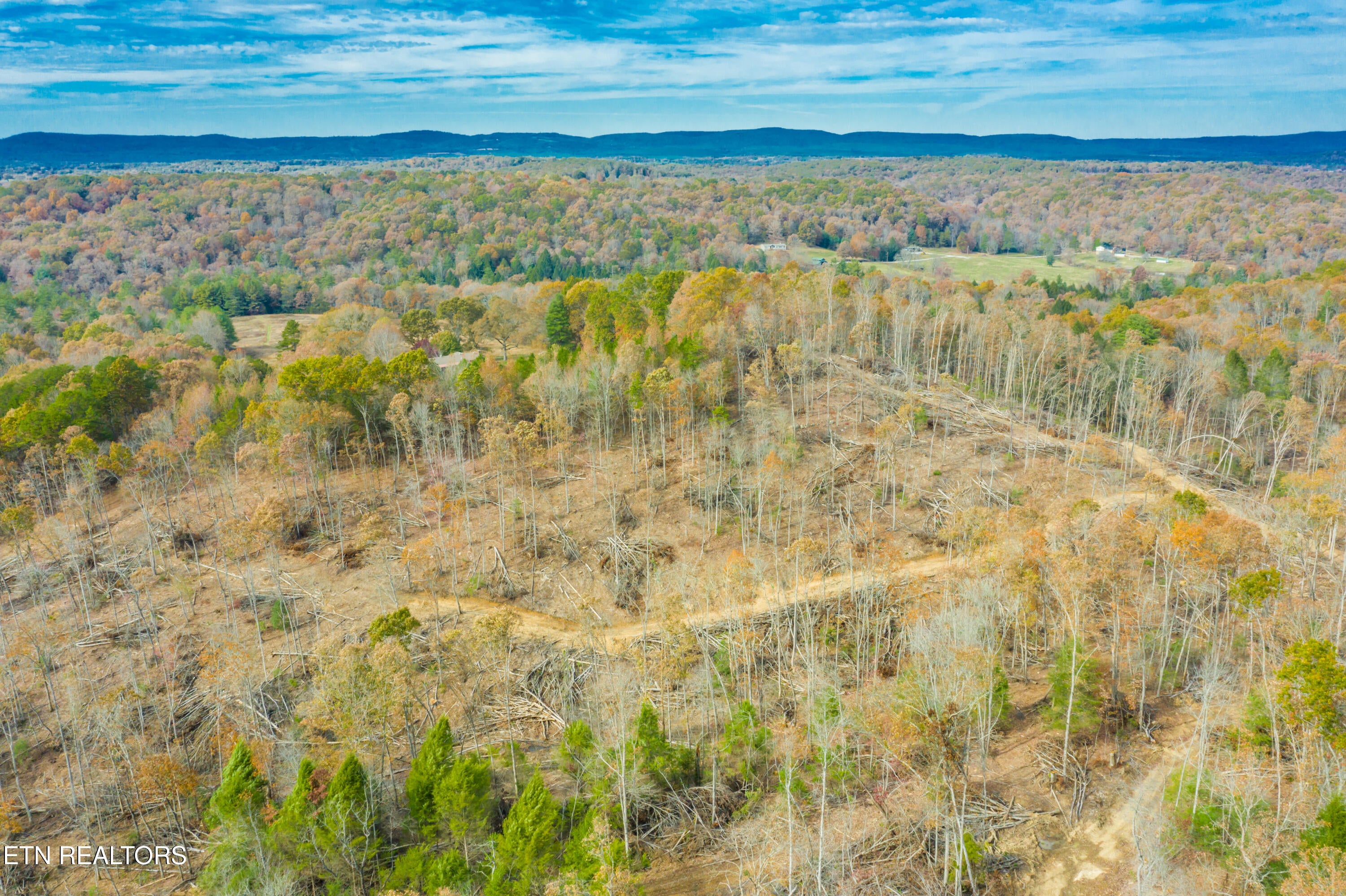 Rockwood, Tennessee, 37854, United States, ,Land,For Sale,1806468