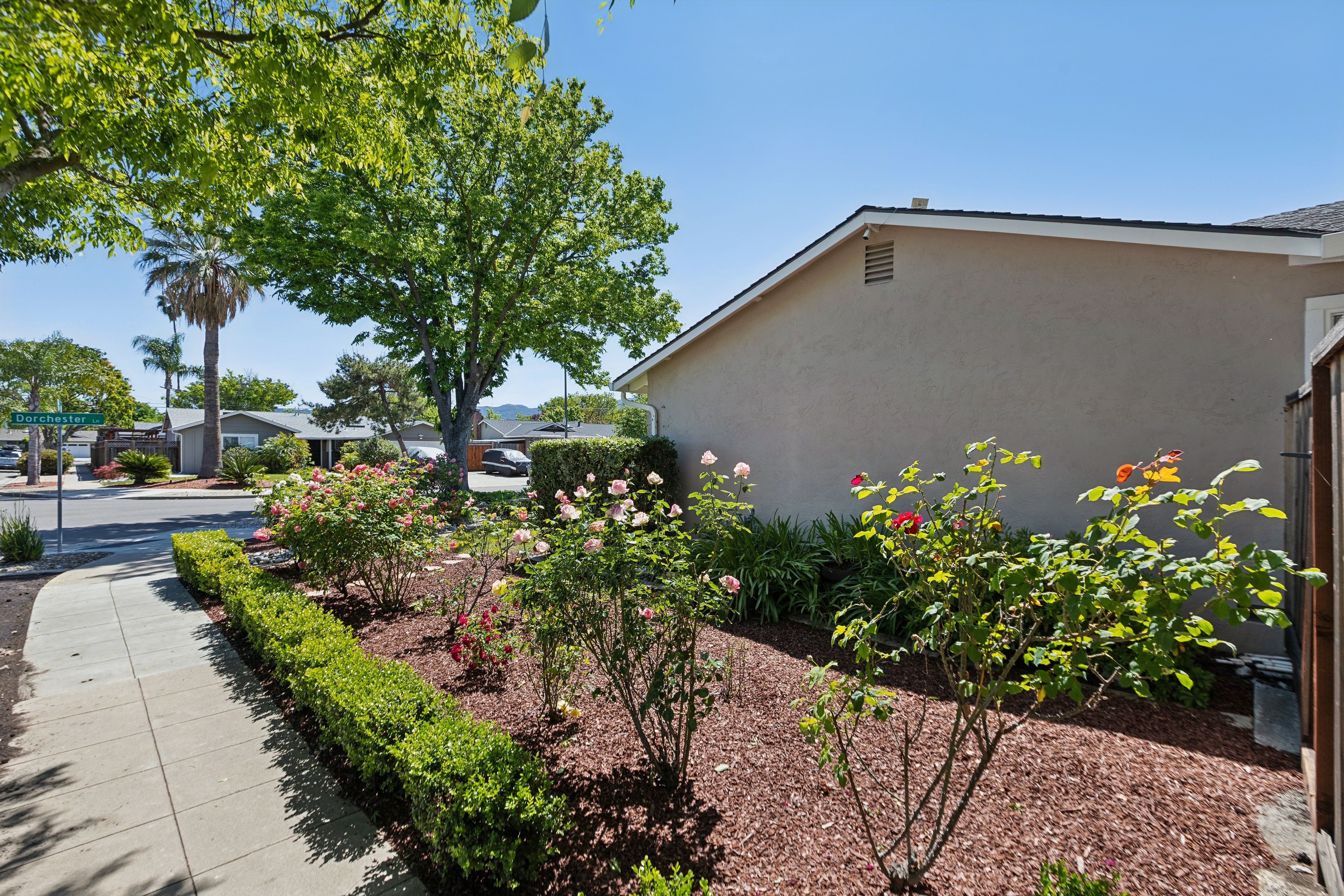  Charming Almaden Valley Single Story on Spacious Corner Lot - 物件實景