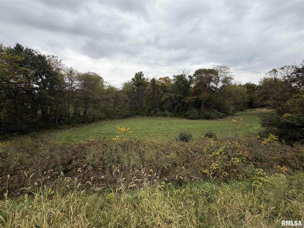 Abingdon, Illinois, 61410, United States, 3 Bedrooms Bedrooms, ,2 BathroomsBathrooms,Residential,For Sale,1976226