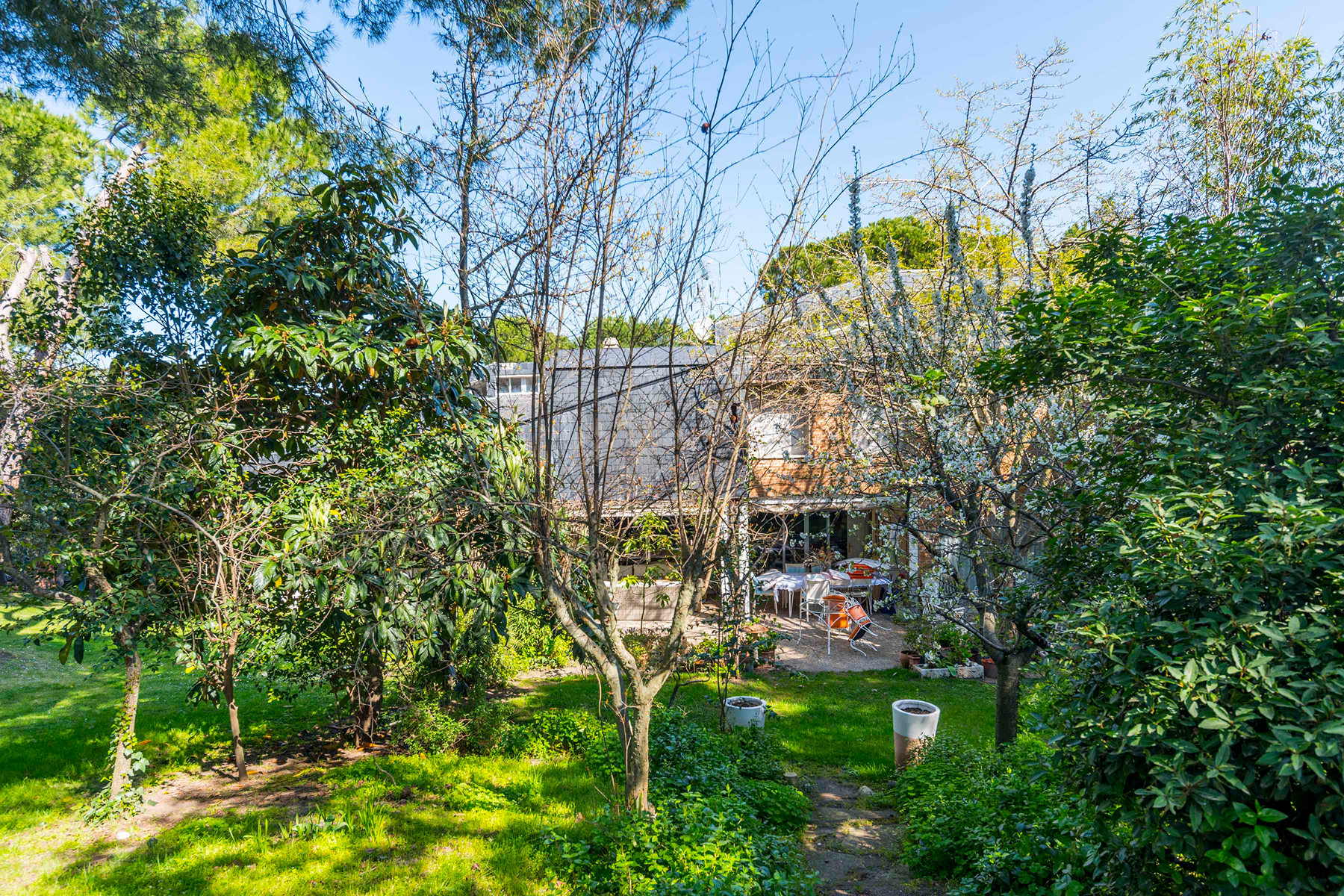  Wonderful hectare plot in La Moraleja - 物件實景