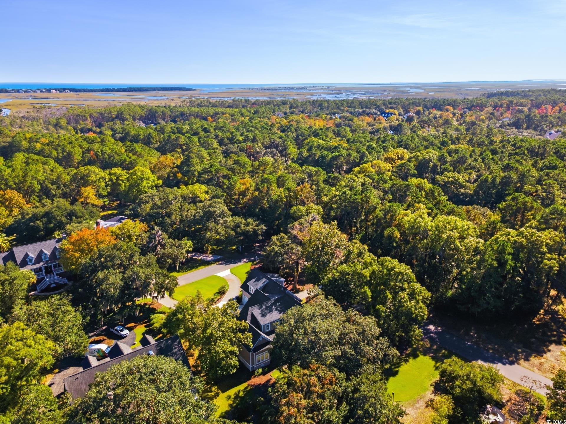  15 Pinckney Rd.  DeBordieu Colony - 物件實景