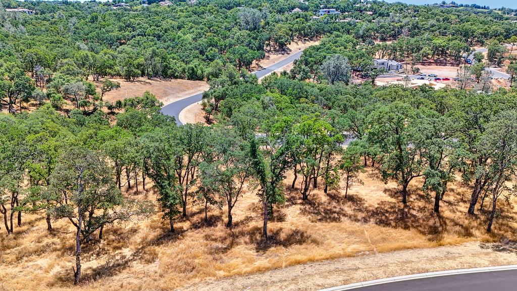 El Dorado Hills, California, 95762, United States, ,Land,For Sale,1874458