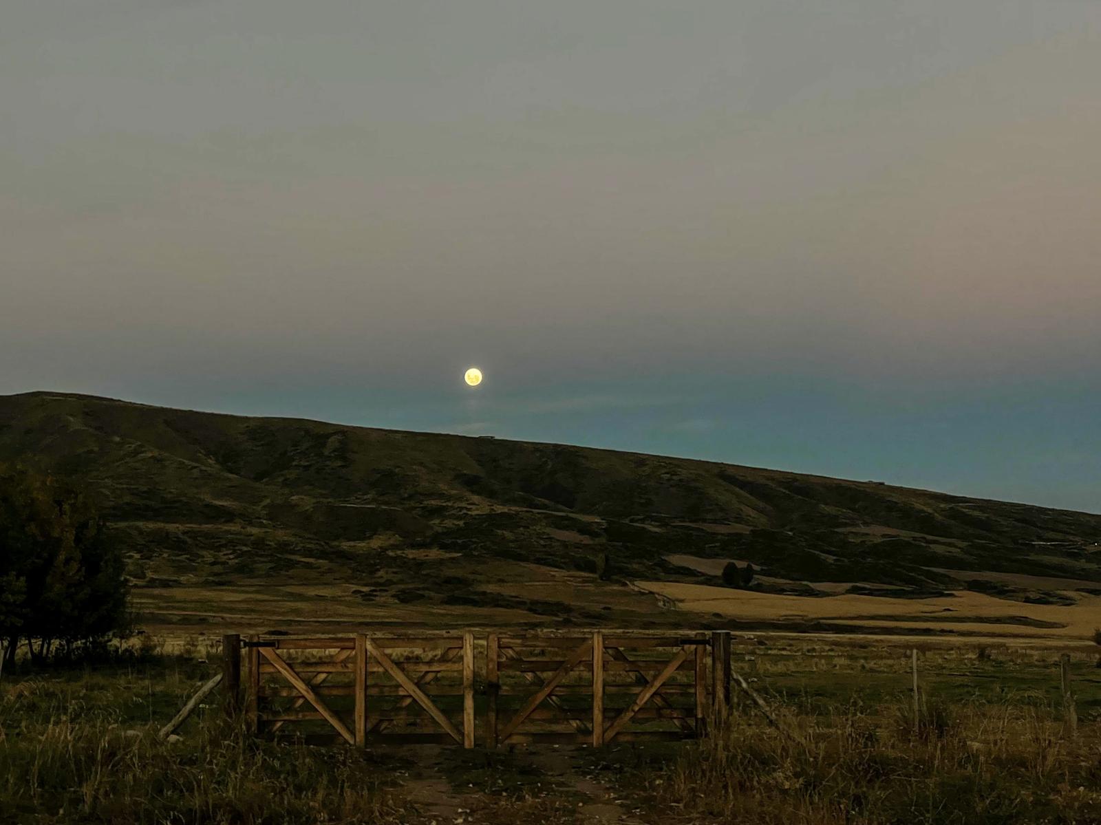 LA CARRERA TUPUNGATO, Tupungato, AR-M, AR, ,Farm And Agriculture,For Sale,LA CARRERA TUPUNGATO,1639721