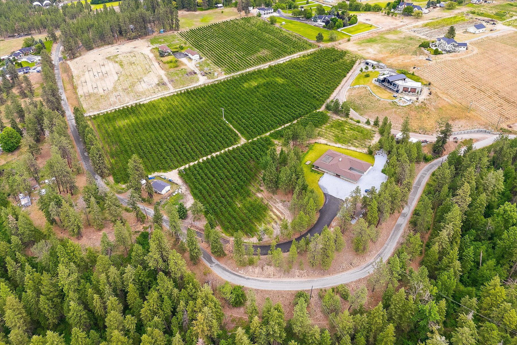  12.81 Acre Orchard - 物件實景