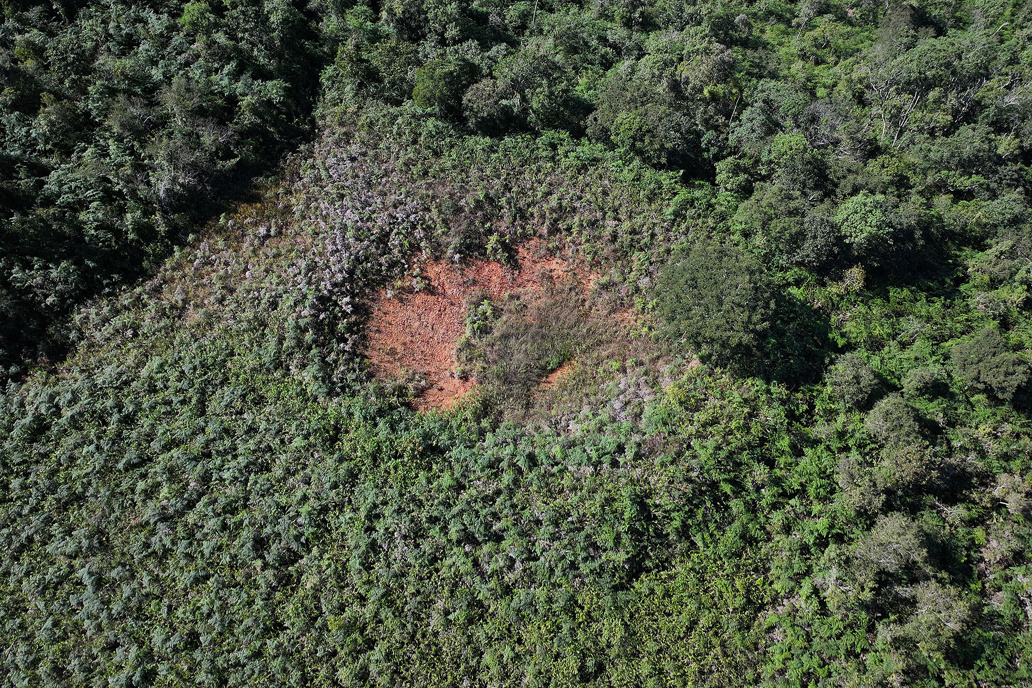  Productive estate spanning 865 acres in the mountains of Teresópolis - 物件實景