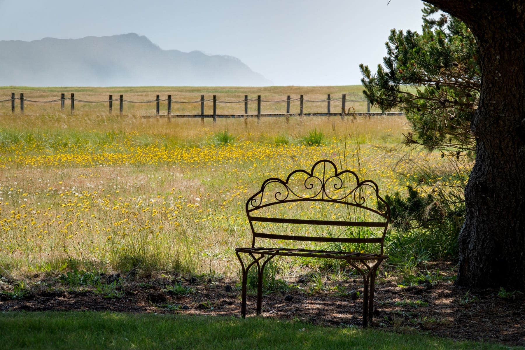  4930 FAIRWAY AVE Gearhart, OR 97138 - 物件實景
