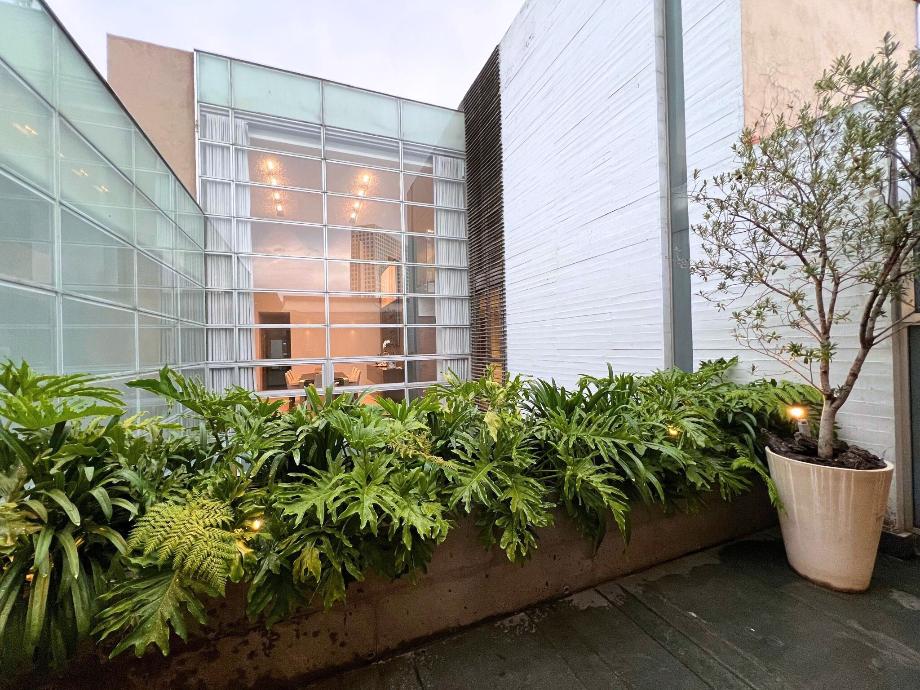 Tiro al Pich?n, Miguel Hidalgo, Ciudad de México, 11910, Mexico, 3 Bedrooms Bedrooms, ,4 BathroomsBathrooms,Residential,For Sale,Tiro al Pich?n,1672291