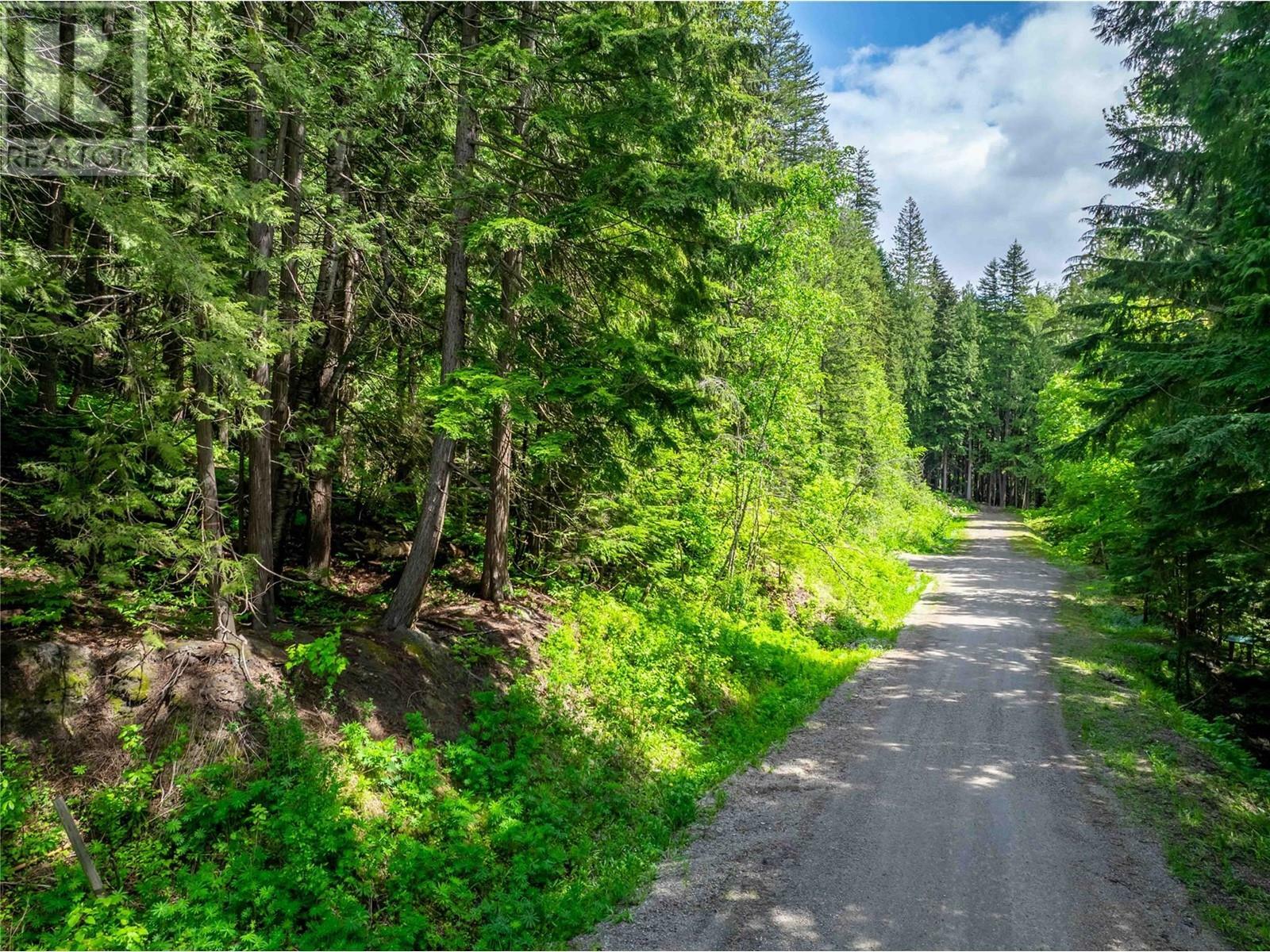 REVELSTOKE, British Columbia, V0E 2S0, CA, ,Residential,For Sale,1838541