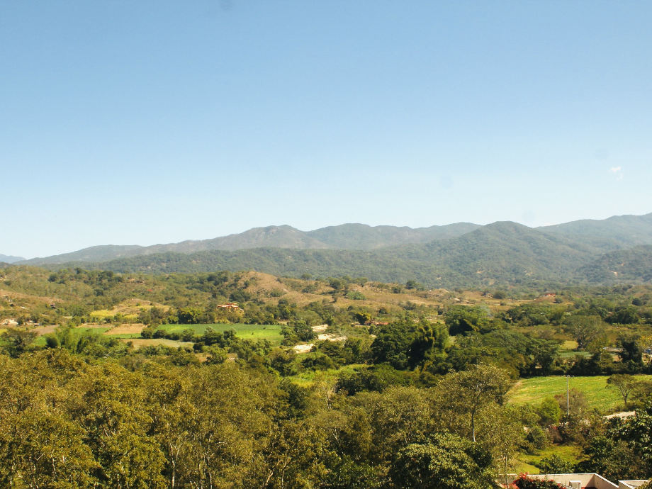 Carr. a Chacala, El Tuito, Jalisco, 48400, Mexico, 1 Bedroom Bedrooms, ,Residential,For Sale,Carr. a Chacala,1425828