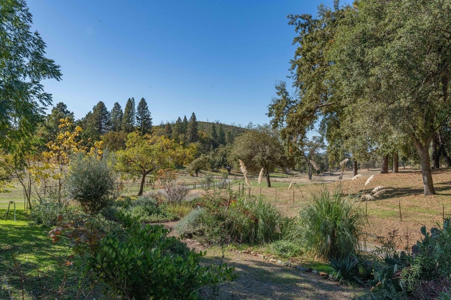 Mokelumne Hill, California, 95245, United States, 5 Bedrooms Bedrooms, ,3 BathroomsBathrooms,Residential,For Sale,1914362