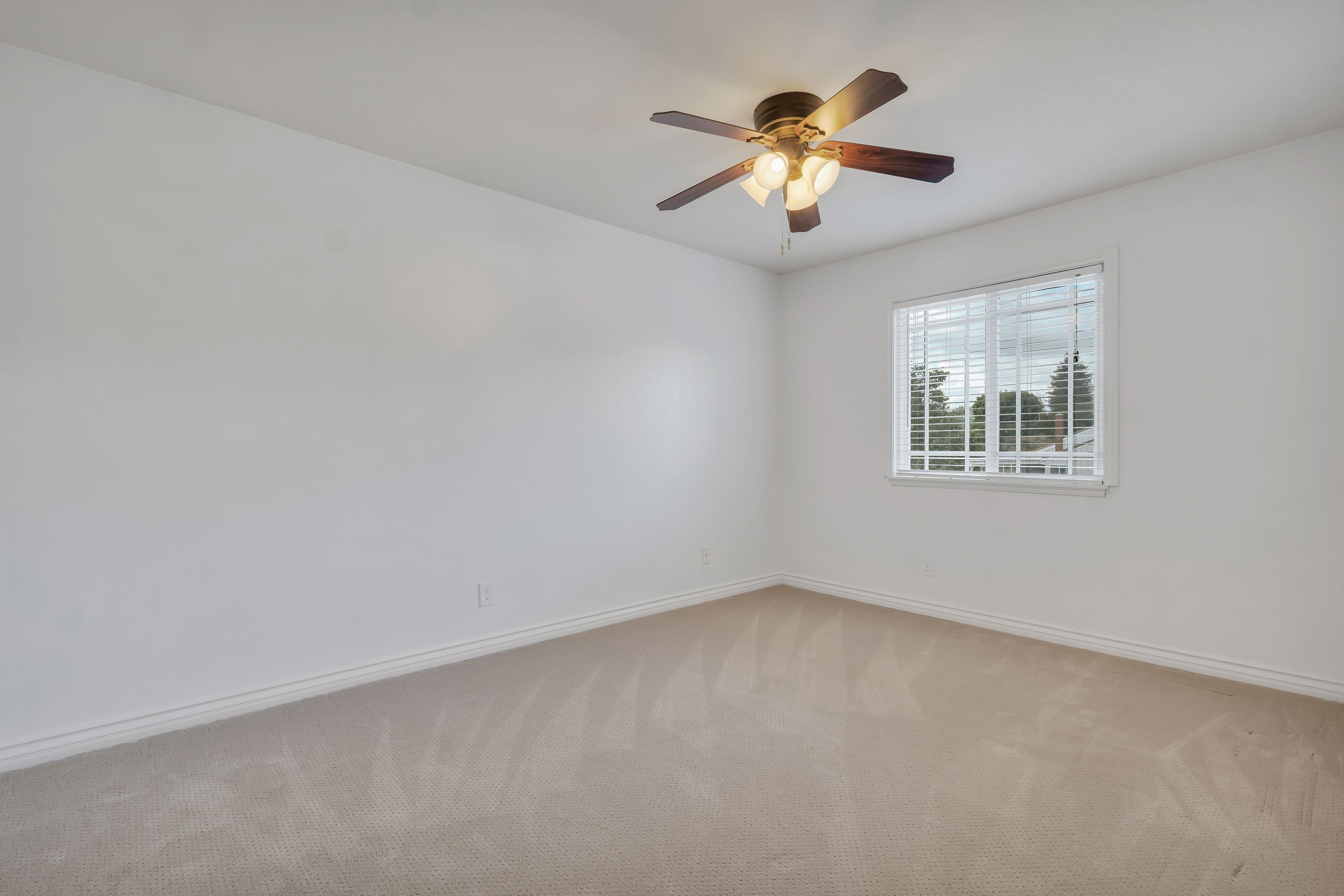  Bridle Path Equestrian Estate - 物件實景