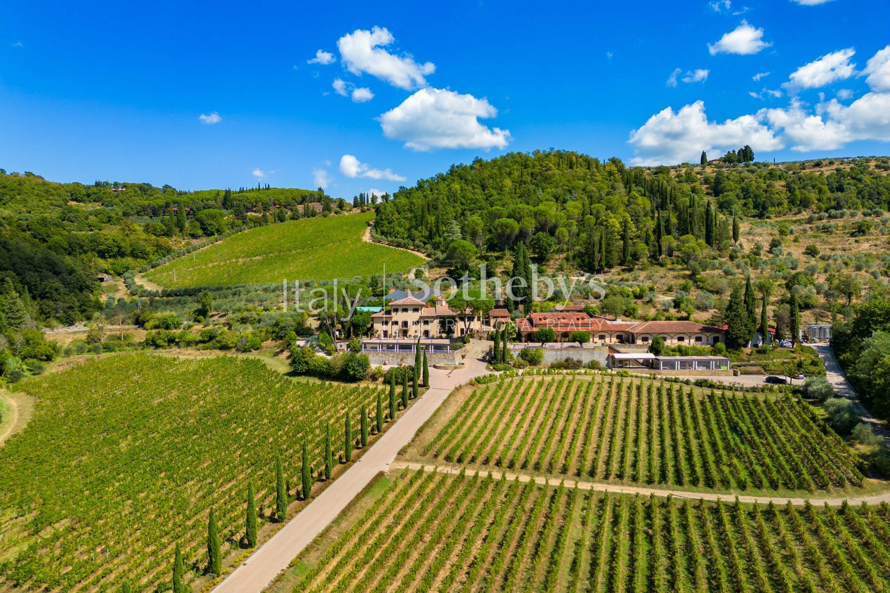 Wine estate with SPA and restaurant facilities - 物件實景