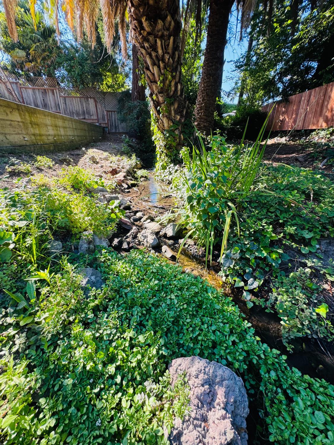 Santa Cruz, California, 95060, United States, 3 Bedrooms Bedrooms, ,2 BathroomsBathrooms,Residential,For Sale,1975973