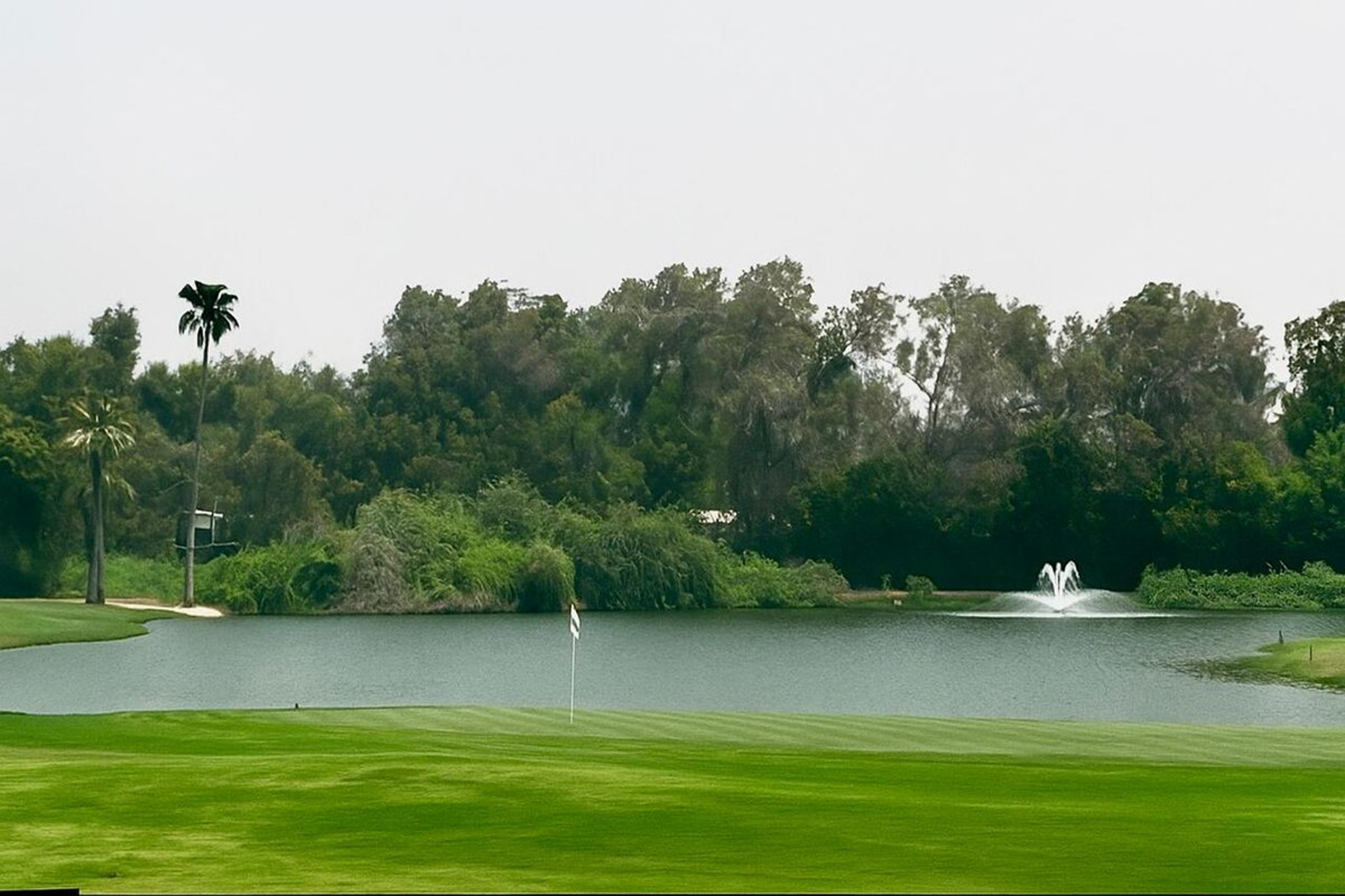  Limited Park Facing Plot in Dubai Hills Estate - 物件實景
