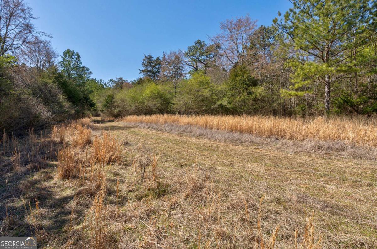 Loganville, Georgia, 30052, United States, ,Land,For Sale,1794790