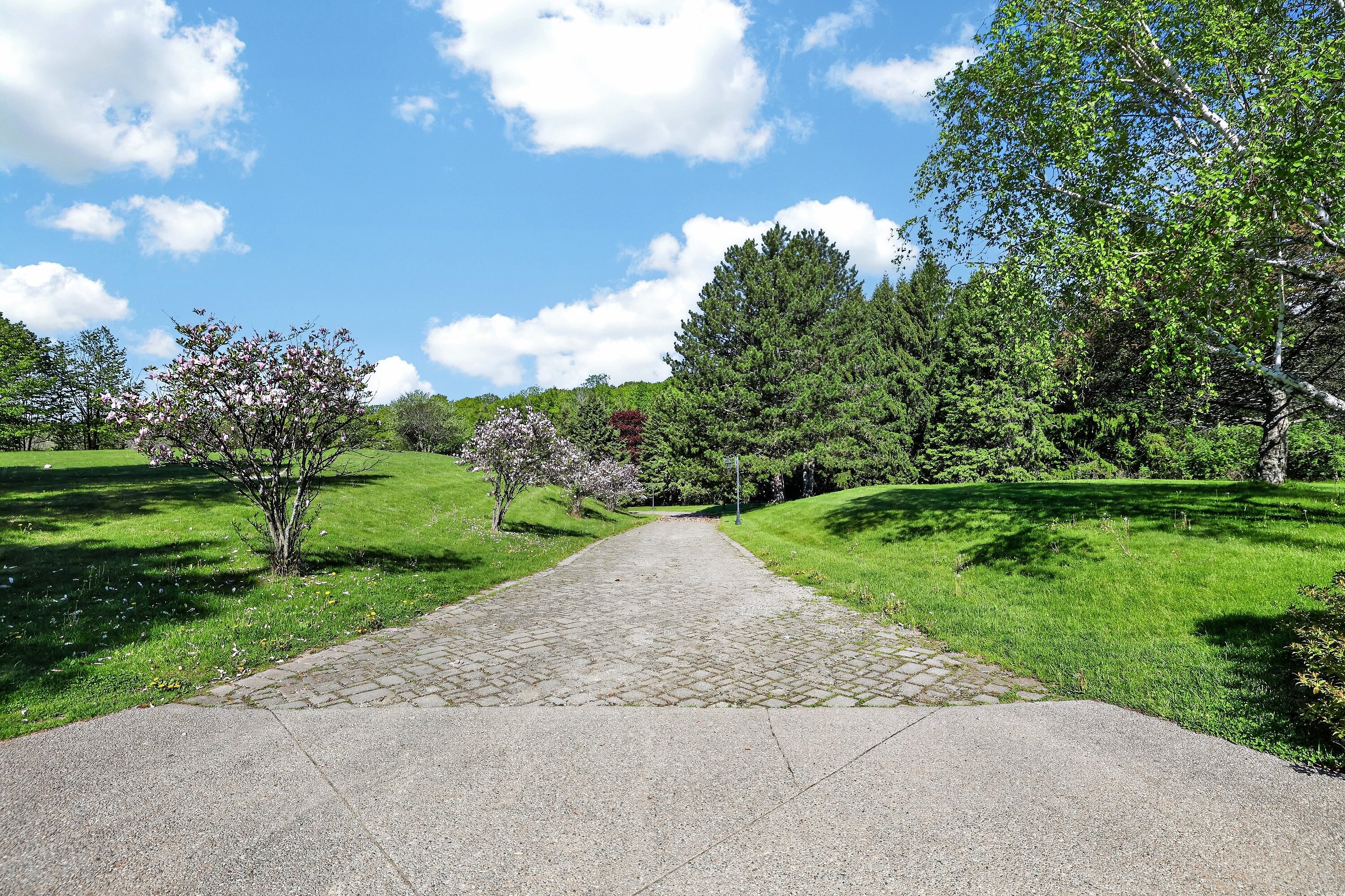  Stunning Estate-Sized Lot - 物件實景