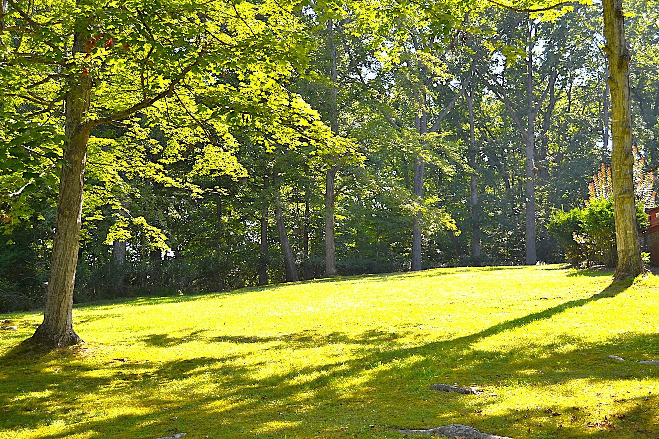 Lewisburg, West Virginia, 24901, United States, 6 Bedrooms Bedrooms, ,3 BathroomsBathrooms,Residential,For Sale,1940620