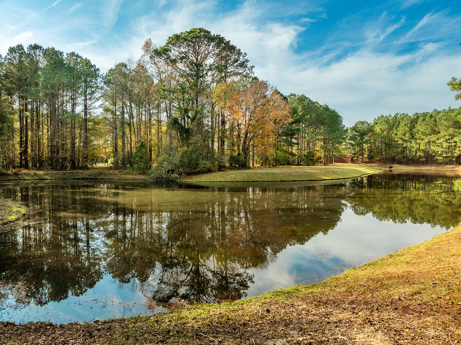  111 Loblolly Court, Wallace, NC 28466 - 物件實景