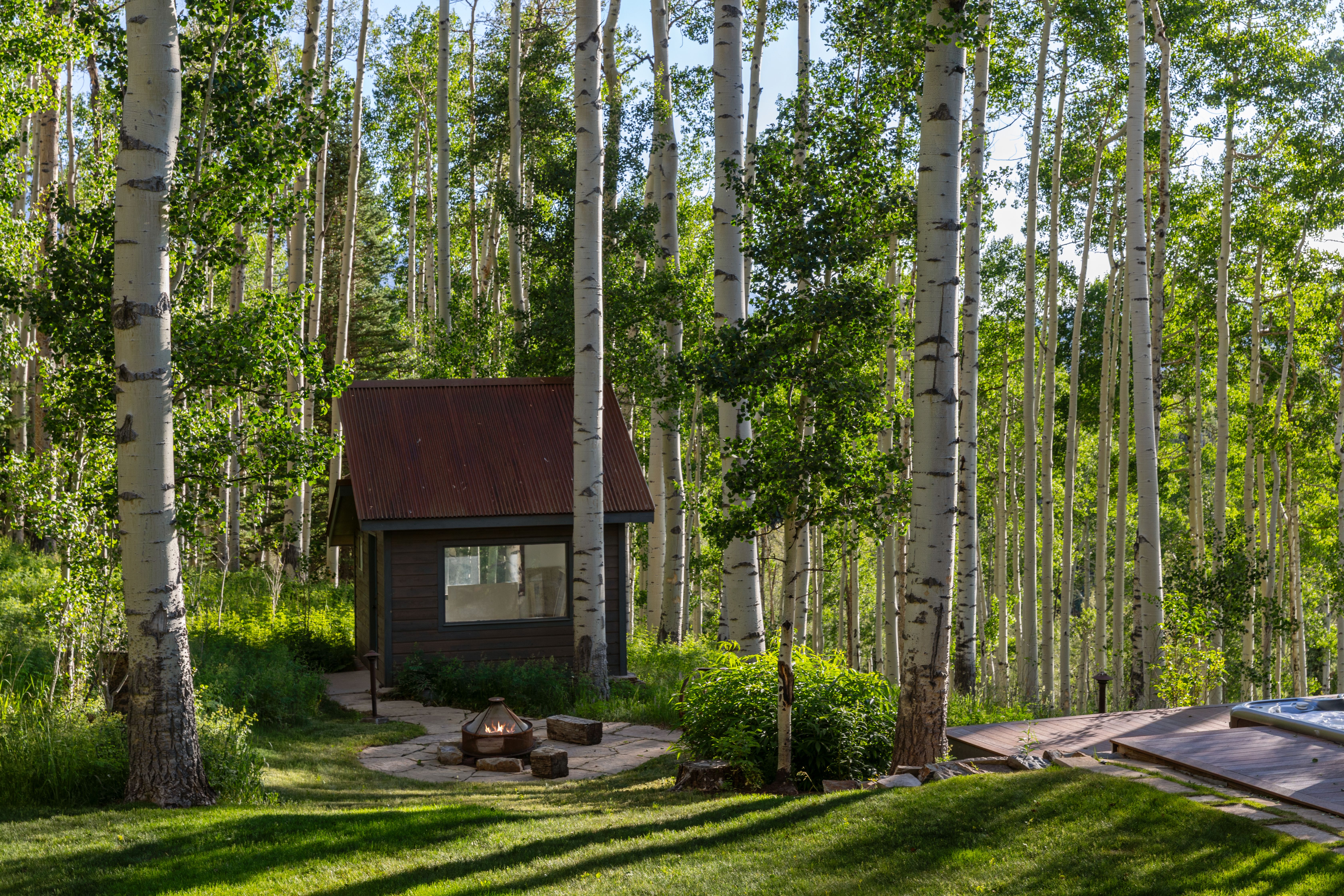  Mountain Escape Minutes from Telluride Ski Resort - 物件實景
