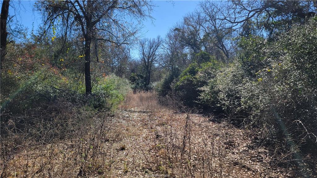Franklin, Texas, 77856, United States, 4 Bedrooms Bedrooms, ,3 BathroomsBathrooms,Residential,For Sale,1928419