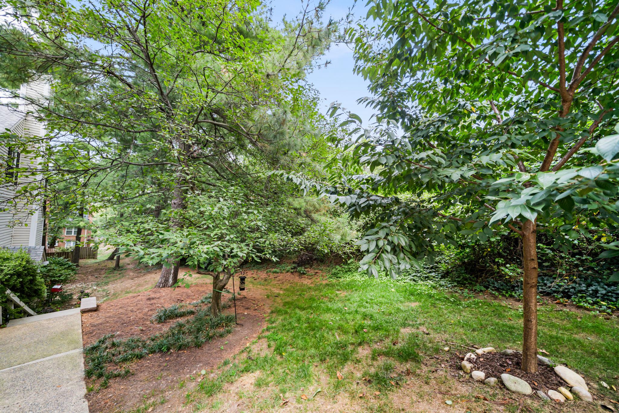  2923C S Woodley Street, Arlington, VA, 22206 - 物件實景