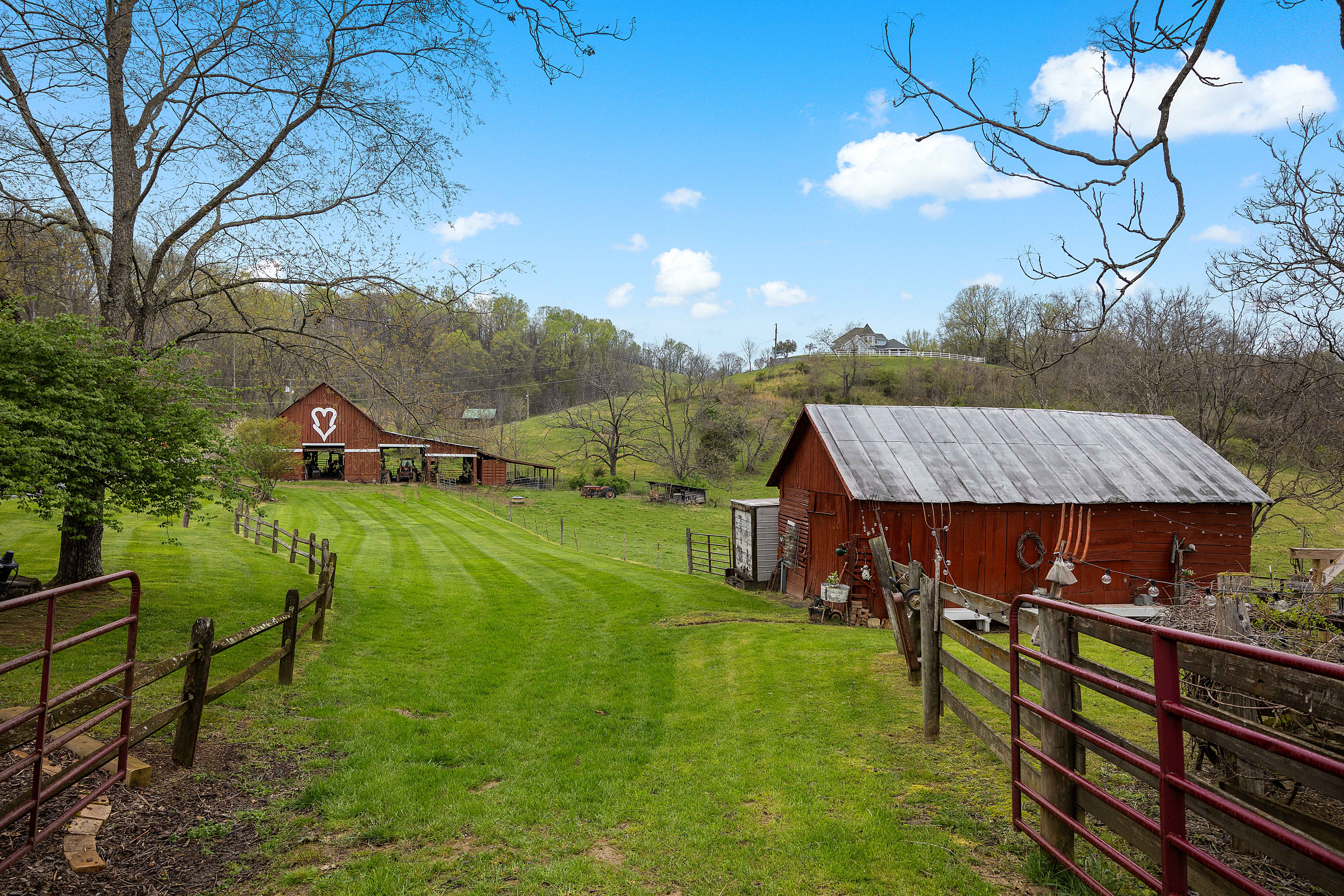  374 Sycamore Shoals Drive, Elizabethton, TN, 37643 - 物件實景