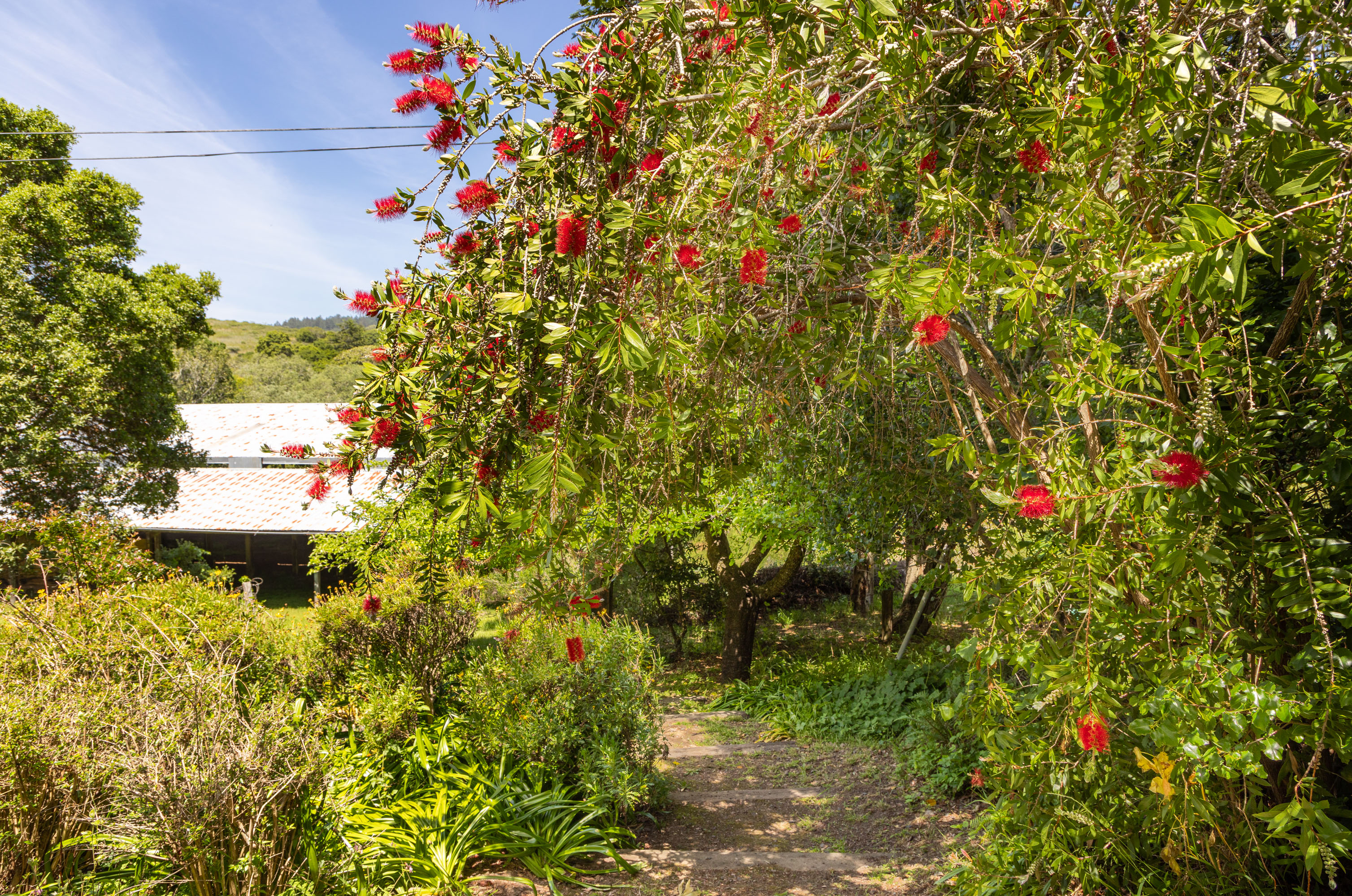  Dogtown Farmhouse - 物件實景