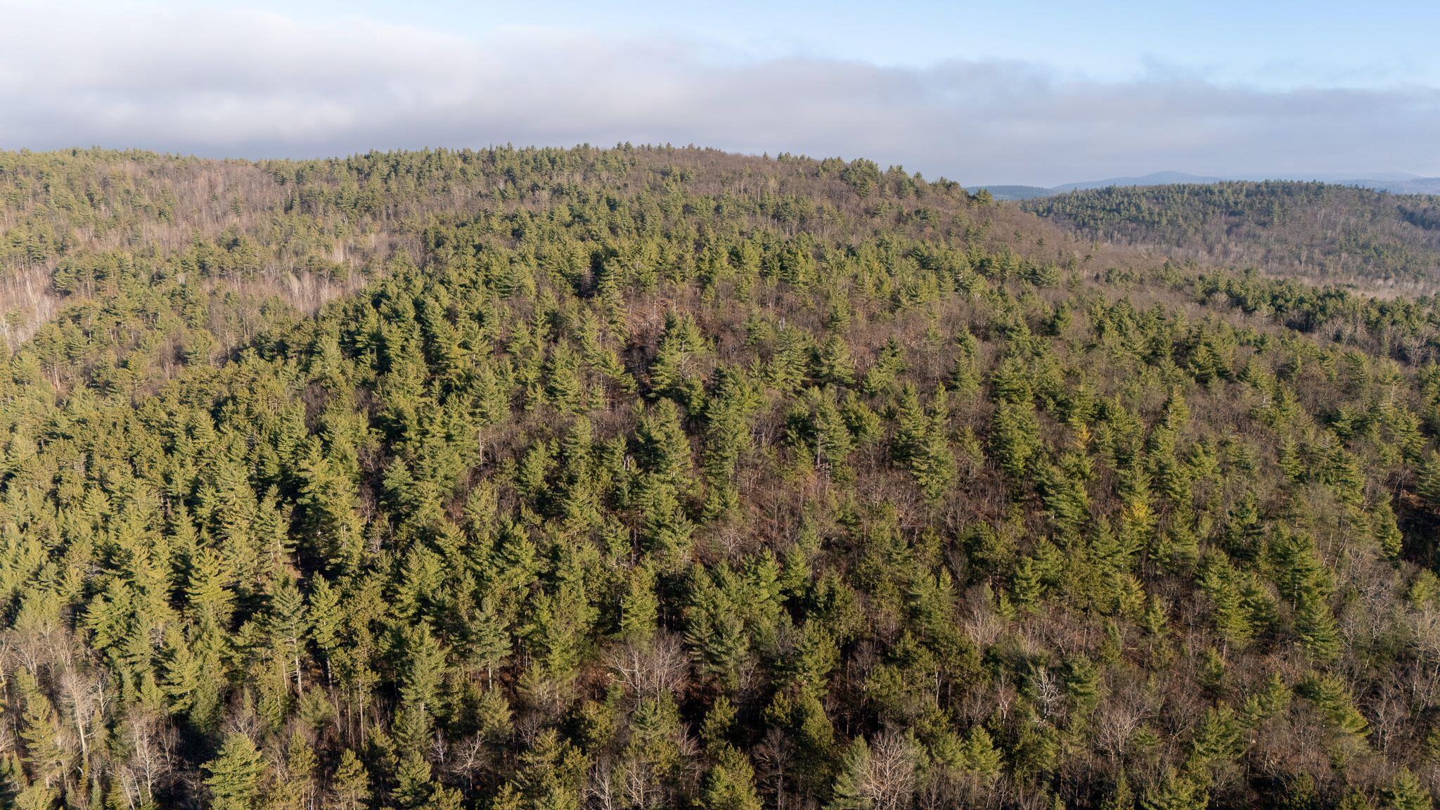 358 Buck Hill Road, Black Brook, New York, 12912, United States, ,Land,For Sale,358 Buck Hill Road,1668250