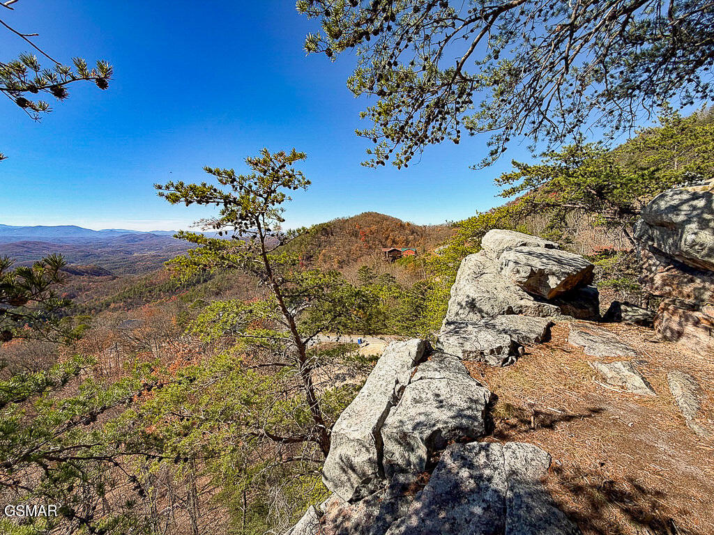 Sevierville, Tennessee, 37876, United States, ,Land,For Sale,2008093