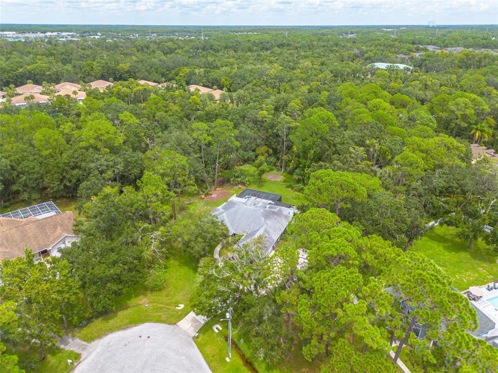 Tampa, Florida, 33626, United States, 5 Bedrooms Bedrooms, ,3 BathroomsBathrooms,Residential,For Sale,1941740