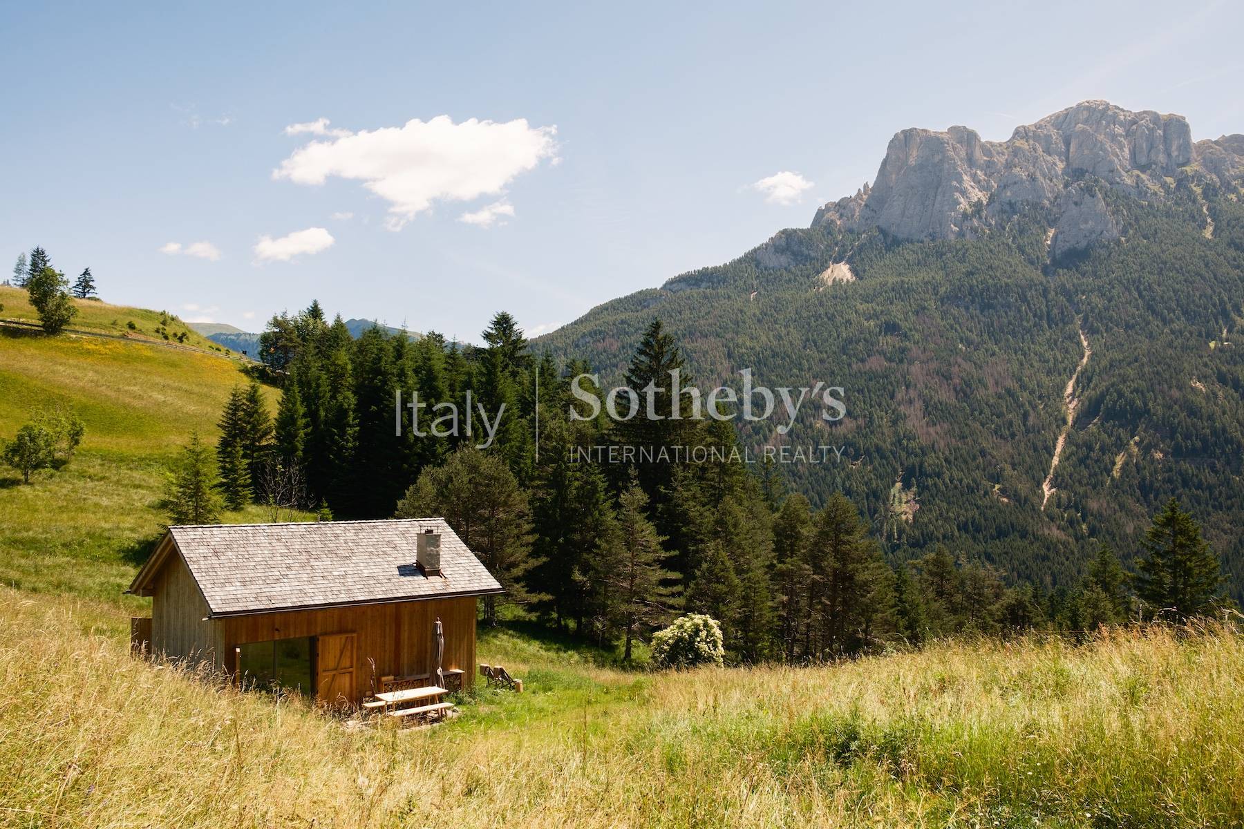  Exclusive chalet in the heart of the Dolomites - 物件實景