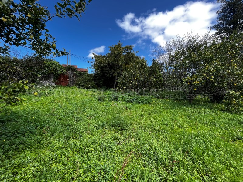 Pontevedra, Moa?a, Moa?a (San Marti?o P. E Virxe d, Moaña, Galicia, ES, 7 Bedrooms Bedrooms, ,2 BathroomsBathrooms,Residential,For Sale,Pontevedra, Moa?a, Moa?a (San Marti?o P. E Virxe d,1623275