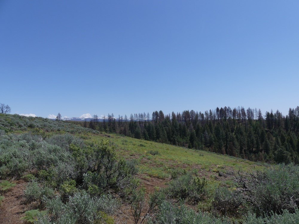 Indian Valley, Idaho, 83682, United States, ,Land,For Sale,1976667