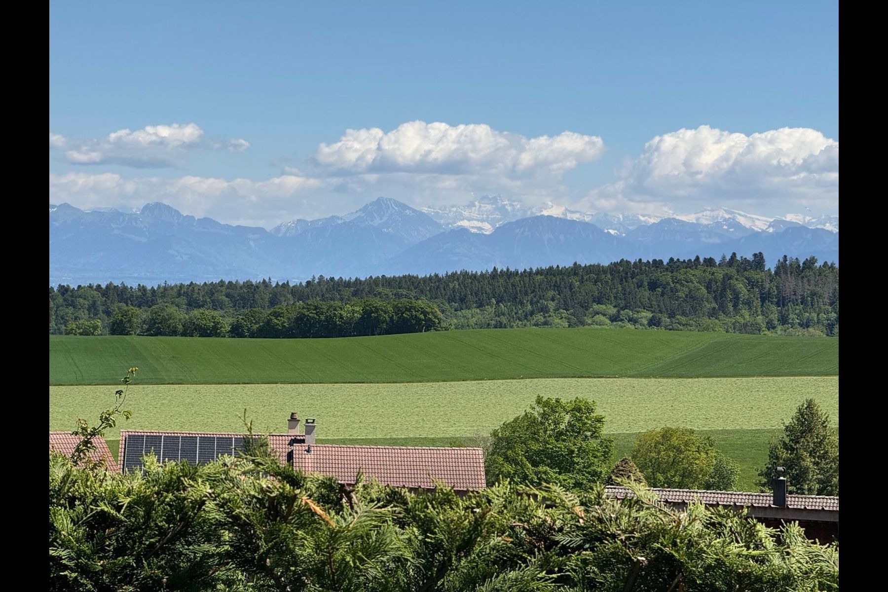  Superb apartment with large garden and terrace overlooking the lake and the Alps - 物件實景