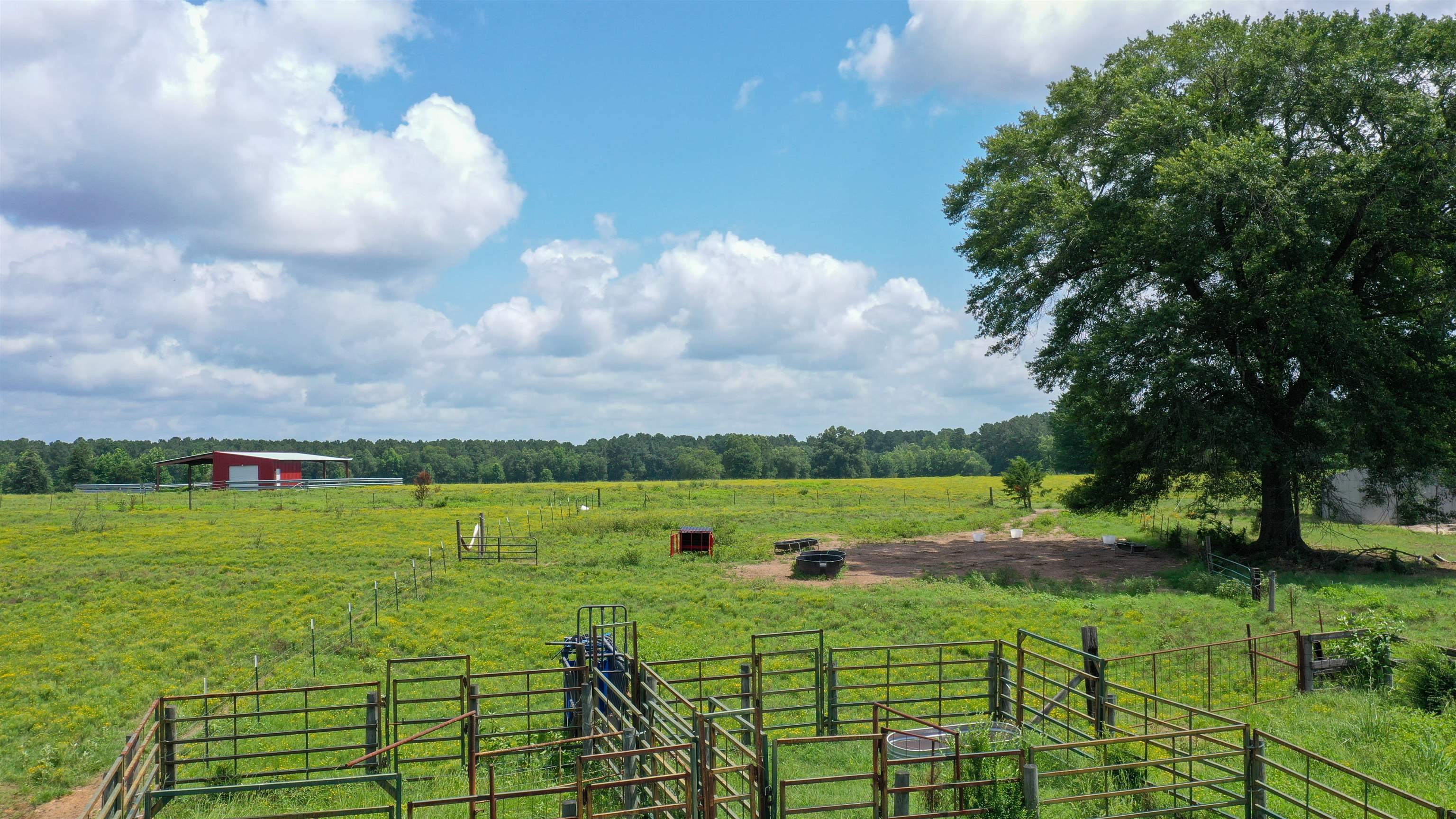 Linden, Texas, 75563, United States, ,Land,For Sale,1975448